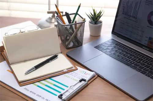 农村历年大学生简介